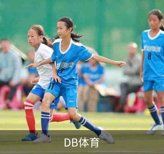 DB体育简介